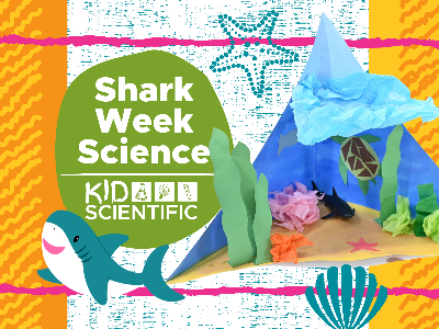 Kidcreate Studio - Woodbury. Shark Week Science Workshop (5-12 Years)